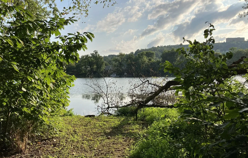 Core Arboretum, United States